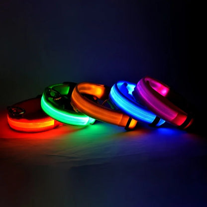 Glow-in-the-Dark LED Pet Collar: Flashing Nylon Safety Necklace for Night Walks