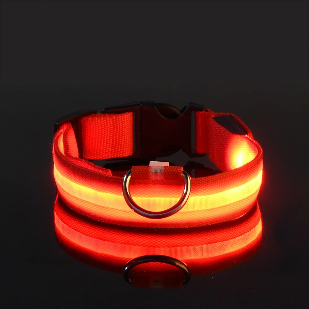Glow-in-the-Dark LED Pet Collar: Flashing Nylon Safety Necklace for Night Walks