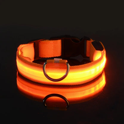 Glow-in-the-Dark LED Pet Collar: Flashing Nylon Safety Necklace for Night Walks