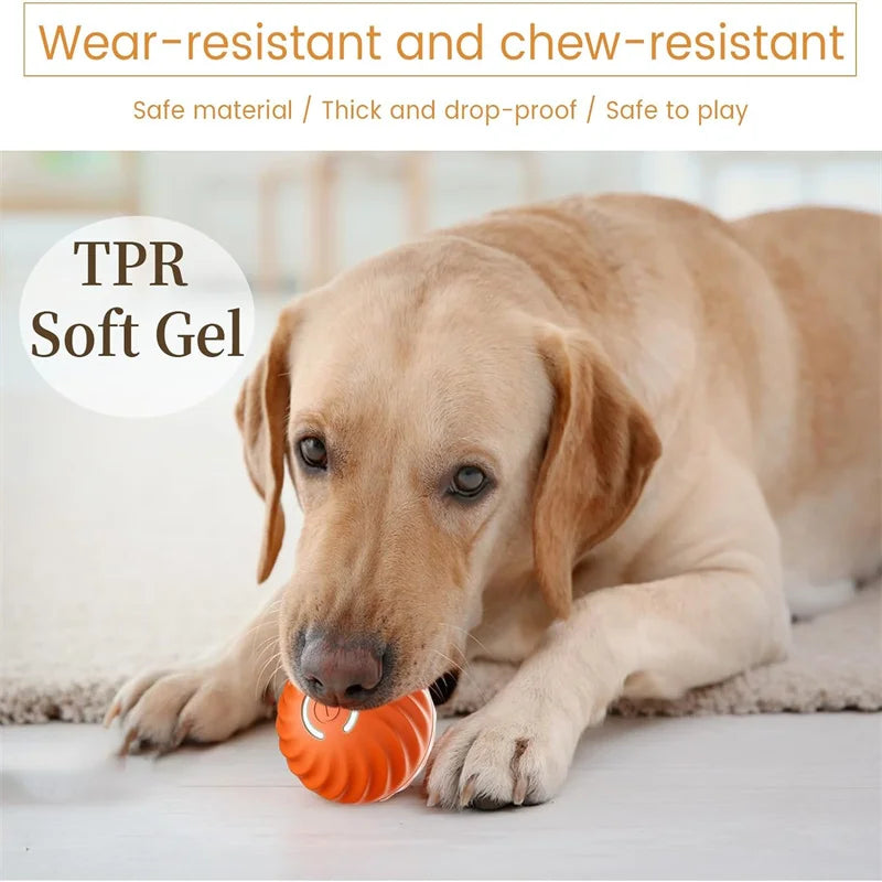 Smart Electronic Dog & Cat Toy: USB Bouncing Ball for Indoor Play and Exercise