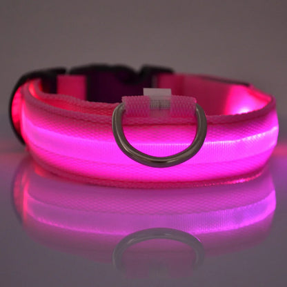 Glow-in-the-Dark LED Pet Collar: Flashing Nylon Safety Necklace for Night Walks
