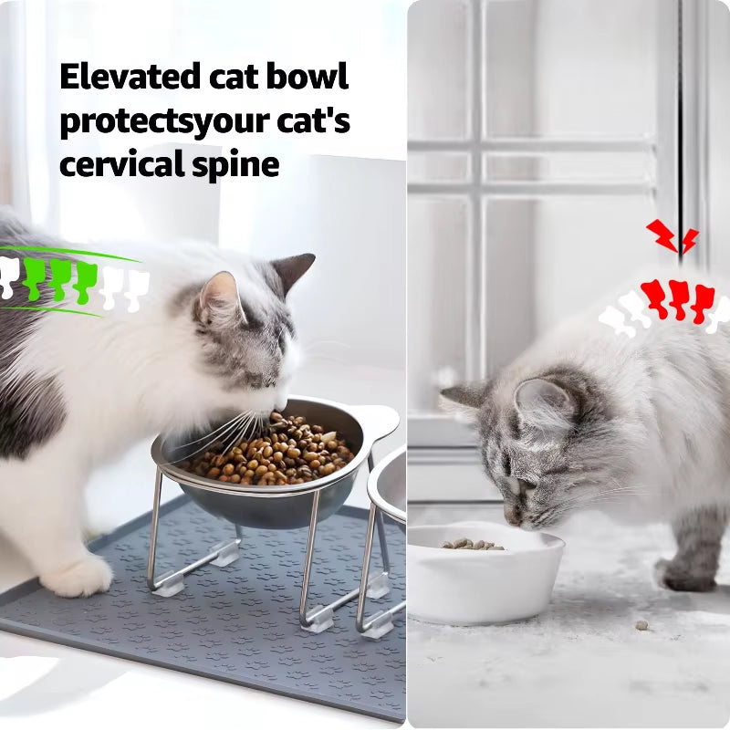 Elevated Stainless Steel Cat Bowl: 15° Tilted Raised Feeder for Cats & Puppies
