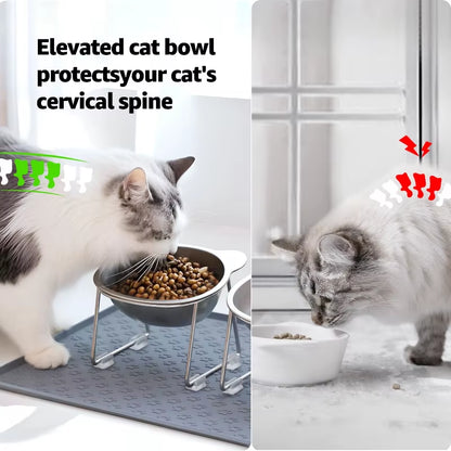 Elevated Stainless Steel Cat Bowl: 15° Tilted Raised Feeder for Cats & Puppies