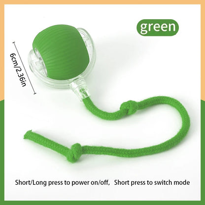 Smart Electronic Dog & Cat Toy: USB Bouncing Ball for Indoor Play and Exercise