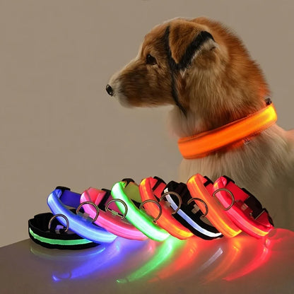 Glow-in-the-Dark LED Pet Collar: Flashing Nylon Safety Necklace for Night Walks