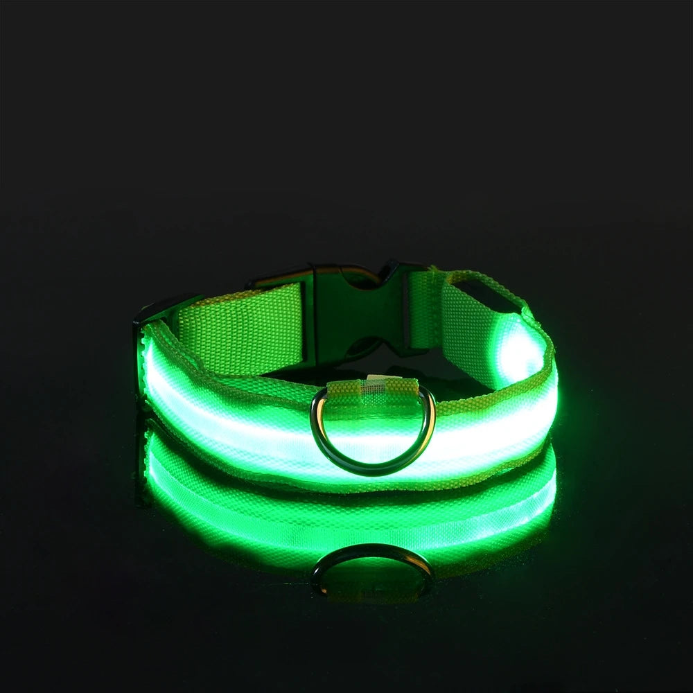 Glow-in-the-Dark LED Pet Collar: Flashing Nylon Safety Necklace for Night Walks