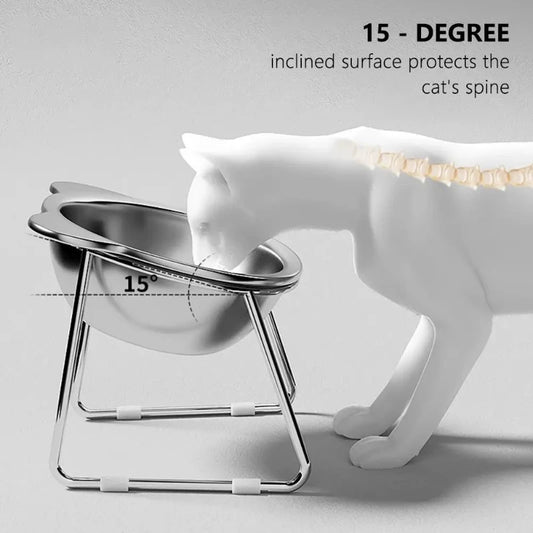 Elevated Stainless Steel Cat Bowl: 15° Tilted Raised Feeder for Cats & Puppies
