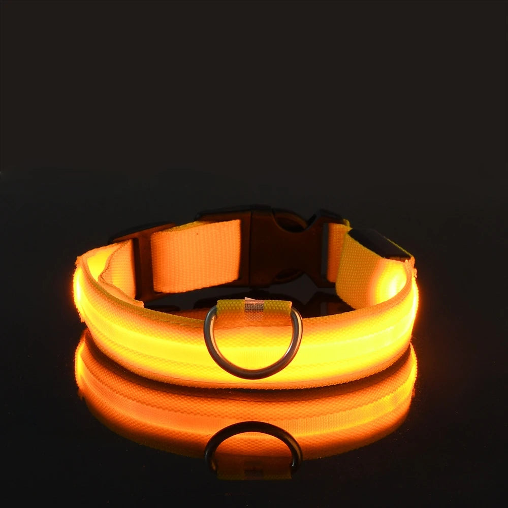 Glow-in-the-Dark LED Pet Collar: Flashing Nylon Safety Necklace for Night Walks