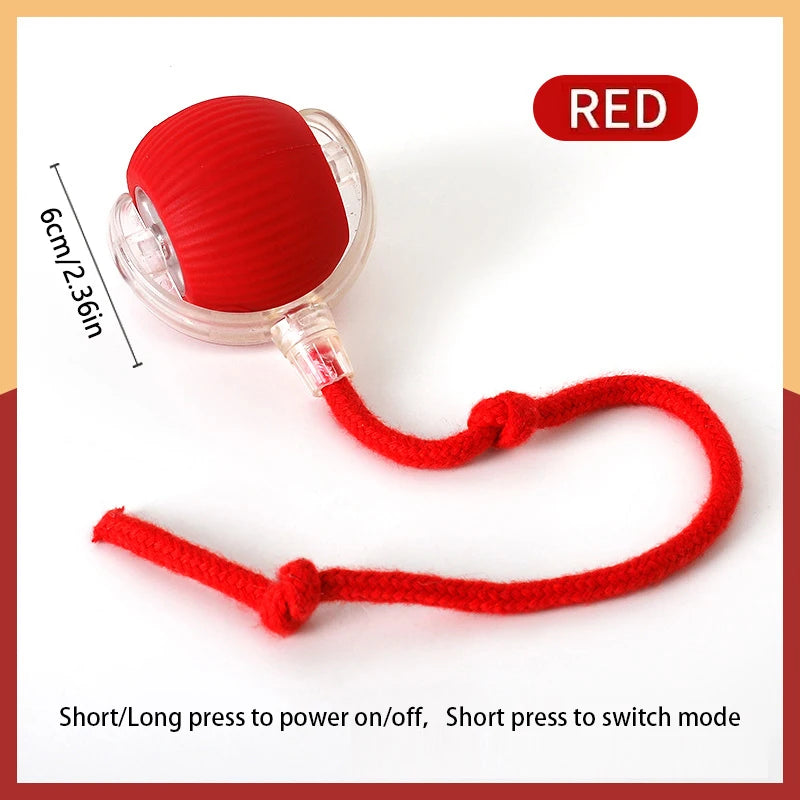 Smart Electronic Dog & Cat Toy: USB Bouncing Ball for Indoor Play and Exercise
