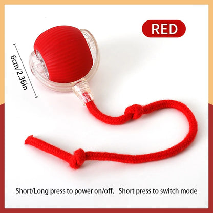 Smart Electronic Dog & Cat Toy: USB Bouncing Ball for Indoor Play and Exercise
